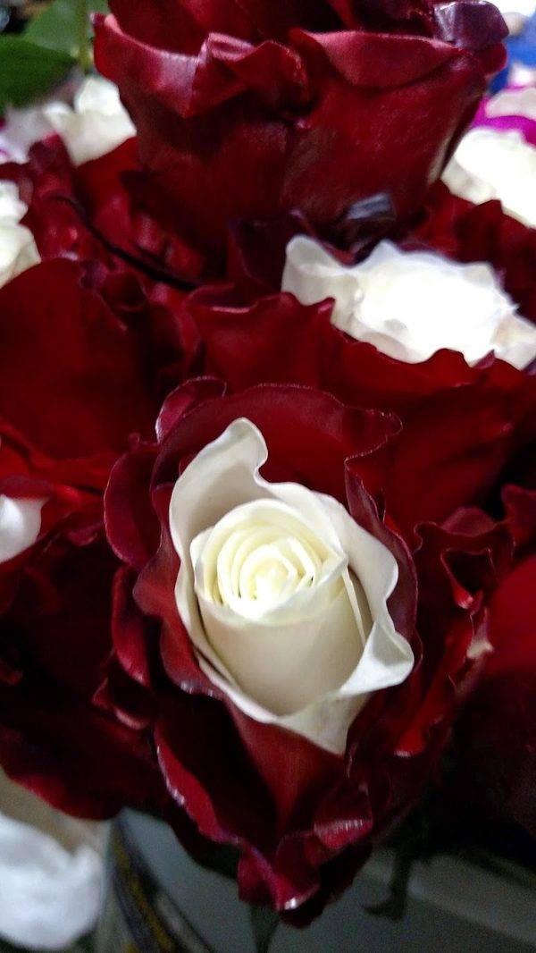 Sanger Flowers