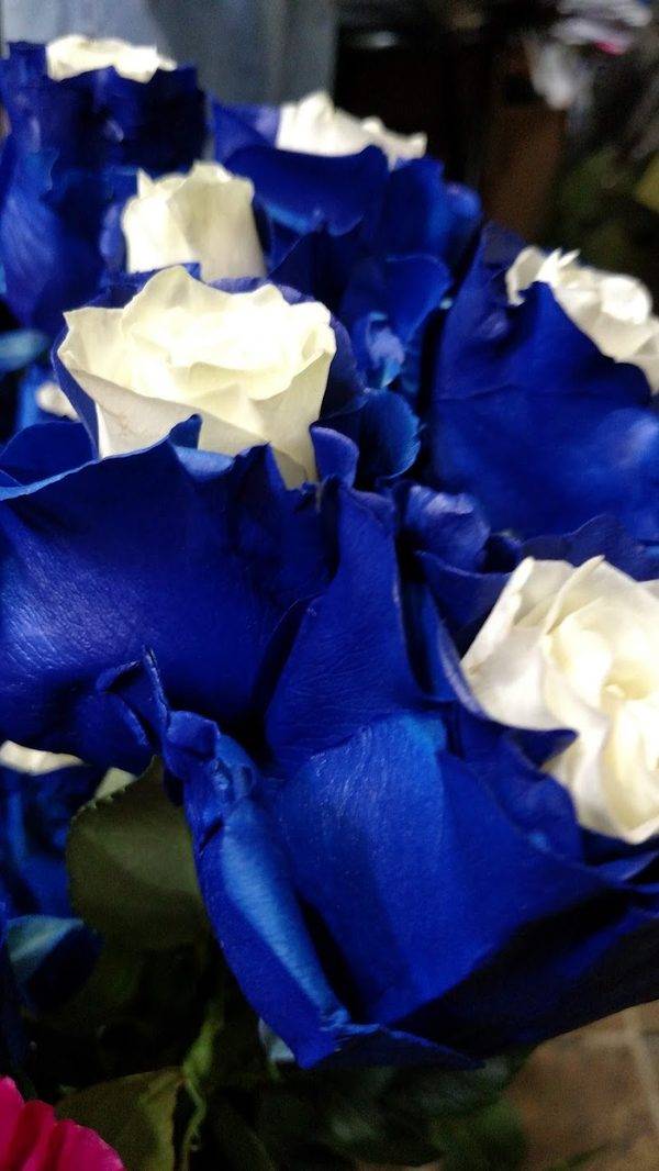 Sanger Flowers